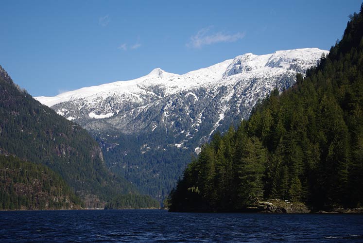 Winter view, water level in Princess Louisa Inlet