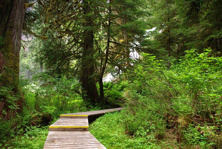 Princess Louisa Marine Park's boardwalk joining the dock with Chatterbox Falls