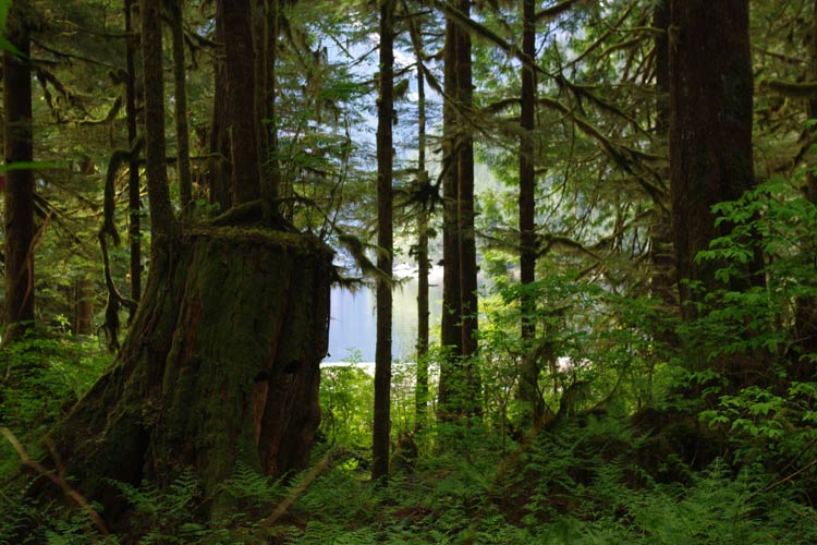 Princess Louisa Inlet Tours