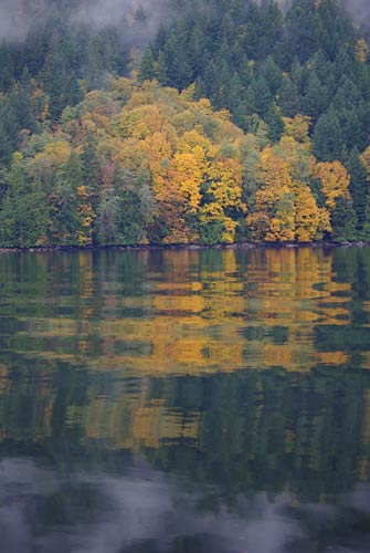 Reflections in the water along Princess Louisa Inlet