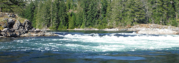 A side channel in Sechelt Rapids, Skookumchuck Narrows