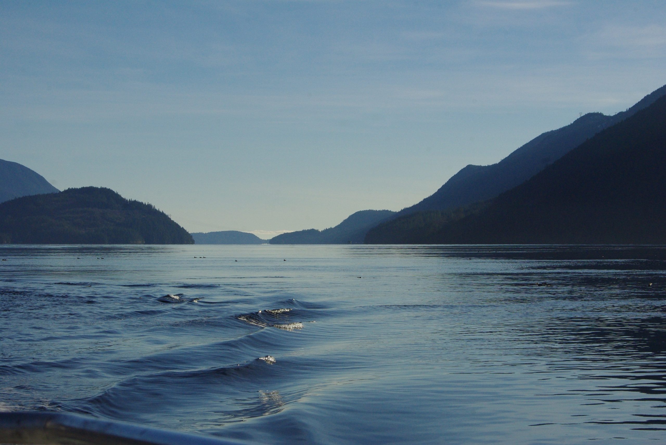 Calm seas, late afternoon in Jervis Inlet