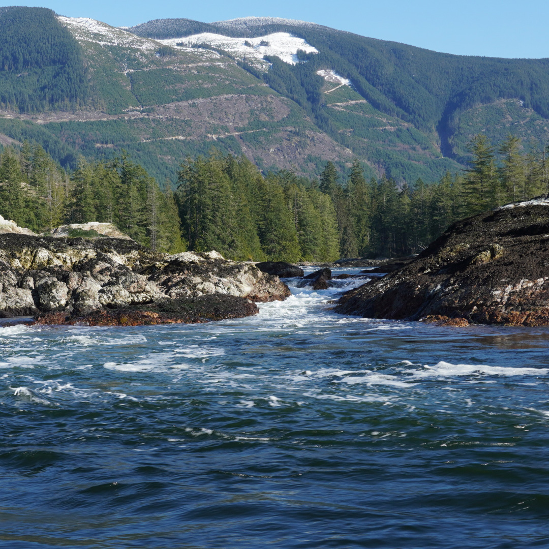 A small side channel of Sechelt Rapids, Skookumchuck Narrows