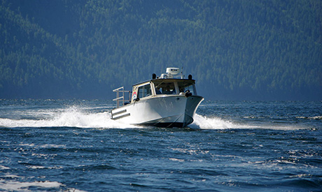 BLine slices easily through afternoon chop in Jervis Inlet