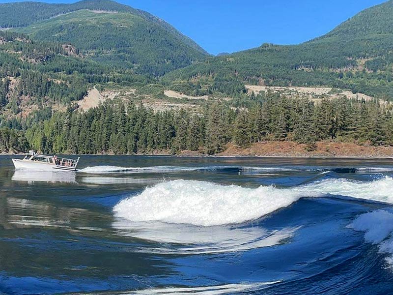 VIDEOS – SKOOKUMCHUCK NARROWS